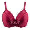 Sheroine Lace Minimizer Full Coverage Underwire Bra 5