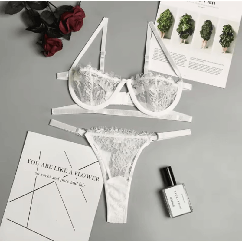 Fairy Embroidery Push Up Lace Bra And Brief Set 4