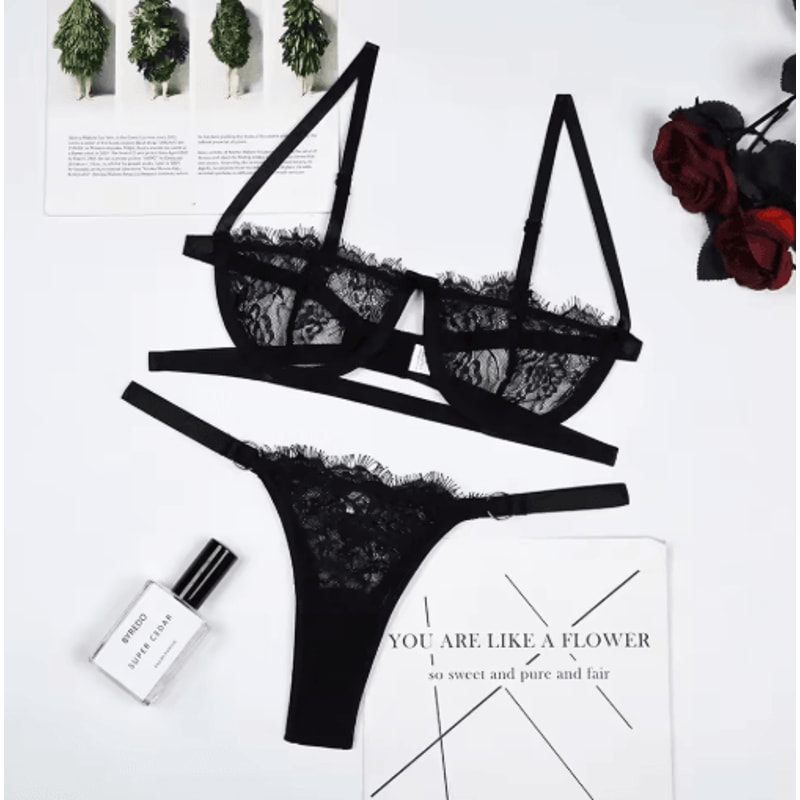 Fairy Embroidery Push Up Lace Bra And Brief Set 5