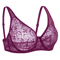 Plus Size Underwired Embroidered Lace Bra With Elegant Hollow Detail 6