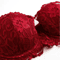 French Style Half Cup Push Up Lace Bra With Deep V Design 5