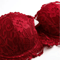 French Style Half Cup Push Up Lace Bra With Deep V Design 5