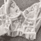 French Chic Lace Corset Camisole Sheer Backless Spaghetti Strap Top 4