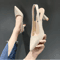 2024 Summer Pointed Toe Stiletto Sandals Elegant Banquet High Heels For Women 3