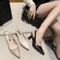 2024 Summer Pointed Toe Stiletto Sandals Elegant Banquet High Heels For Women 4