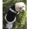 Summer Dog Security Vest Lightweight Puppy TShirt Costume For Small Dogs Cats 1