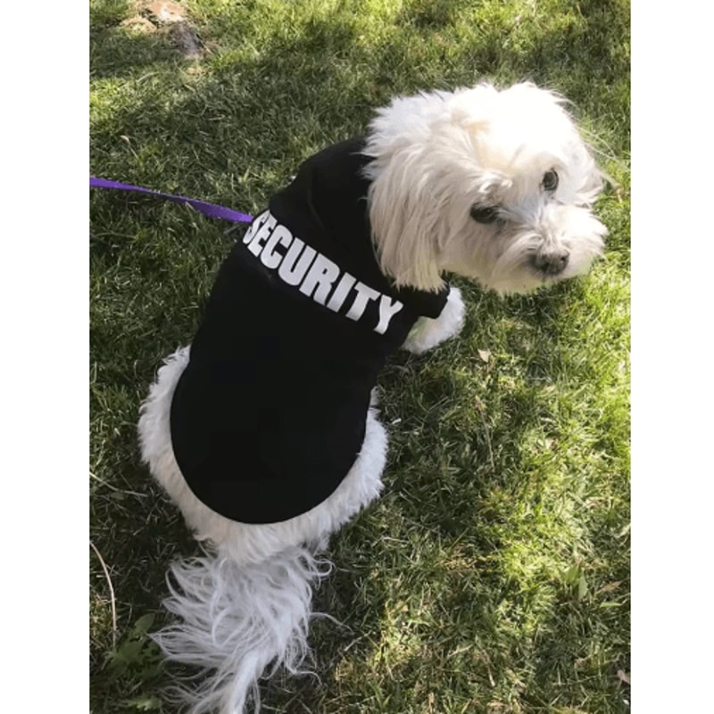 Summer Dog Security Vest Lightweight Puppy TShirt Costume For Small Dogs Cats 1