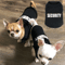 Summer Dog Security Vest Lightweight Puppy TShirt Costume For Small Dogs Cats 0