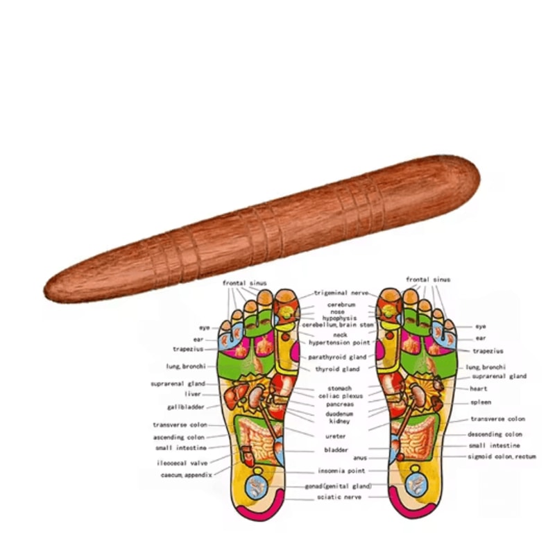 Natural Wooden Foot And Body Massage Stick For Reflexology And Muscle Relief 2