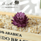 Lovely Mini Artificial Succulent Lotus Plant Decorative Ornament 1