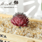 Lovely Mini Artificial Succulent Lotus Plant Decorative Ornament 5