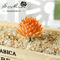 Lovely Mini Artificial Succulent Lotus Plant Decorative Ornament 6