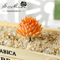 Lovely Mini Artificial Succulent Lotus Plant Decorative Ornament 6