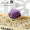 Lovely Mini Artificial Succulent Lotus Plant Decorative Ornament 7