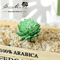 Lovely Mini Artificial Succulent Lotus Plant Decorative Ornament 8