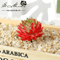 Lovely Mini Artificial Succulent Lotus Plant Decorative Ornament 11