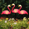 Solar Flamingo Garden Light Waterproof LED Stake Pathway Decor 10