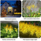 Autumn Wheat Solar Pathway Lights Waterproof Dusk To Dawn Garden Decor 2
