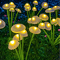 Solar Mushroom Garden Lights Dual Mode LED Jellyfish Pathway Decor 1