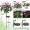 BloomGlow Solar Flower Garden Lights Waterproof LED Landscape Lights For Pathways Patio 5