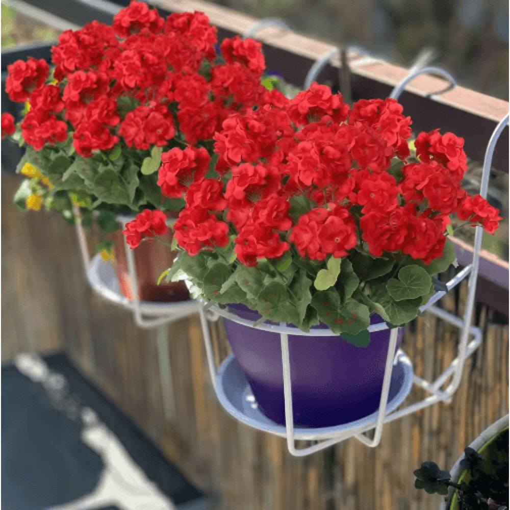 Ever Bloom Silk Begonia Flowers UV Resistant Artificial Flower Decoration For Garden And Wedding 3