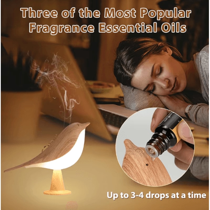 GlowMagpie Touch LED Night Light Dimmable Rechargeable Aromatherapy Desk Lamp 6
