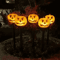 Pumpkin Solar Garden Lantern Waterproof Outdoor Halloween Torch Light 6