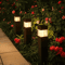 Decorative Solar Garden Landscape Lights Waterproof Ground Plug Lawn Yard Lights 4