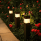 Decorative Solar Garden Landscape Lights Waterproof Ground Plug Lawn Yard Lights 4