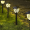 2PCS LED Solar Pathway Lights Waterproof Outdoor Garden Walkway Lighting 0