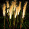 LED Solar Reed Garden Lights Waterproof Outdoor Pathway Landscape Decor 0
