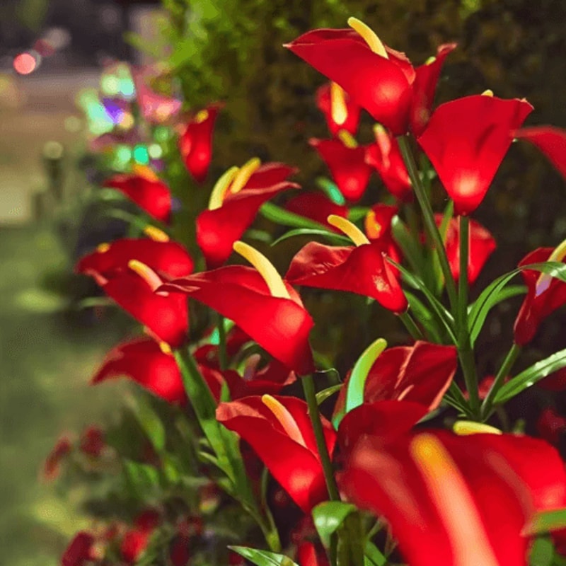 Solar Calla Lily Flower Garden Lights Waterproof LED Outdoor Stake Decor 0