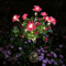 Solar Azalea Flower Garden Lights Waterproof LED Outdoor Pathway Decor 4
