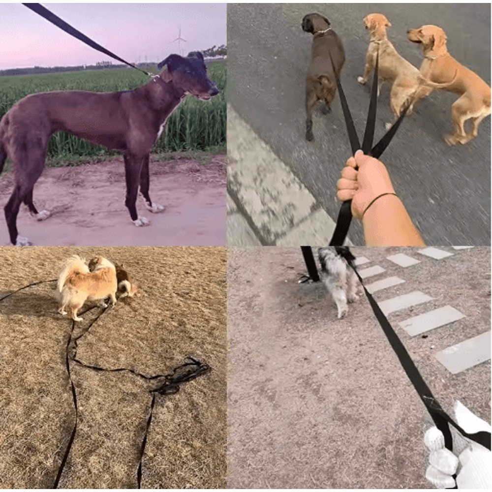 Extra Long Nylon Dog Training Leash For Outdoor Training Walking 10m15m20m 2