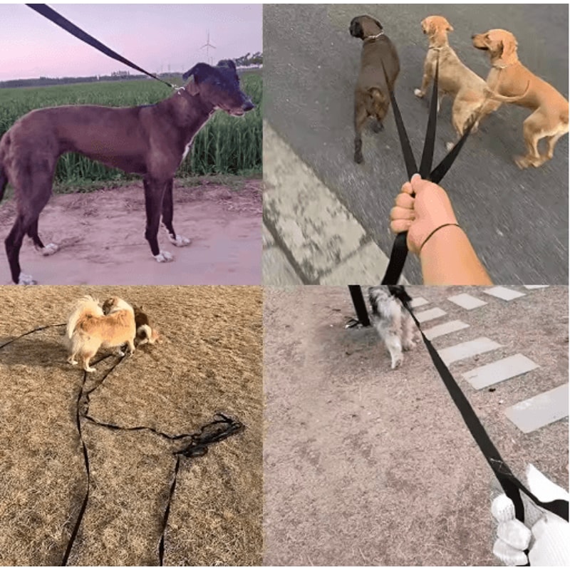 Extra Long Nylon Dog Training Leash For Outdoor Training Walking 10m15m20m 2