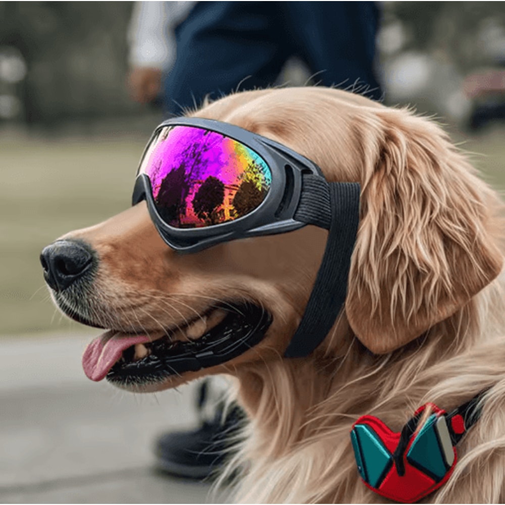 UV Protection Dog Goggles For Large Dogs Windproof Outdoor Pet Sunglasses 4