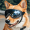 UV Protection Dog Goggles For Large Dogs Windproof Outdoor Pet Sunglasses 0