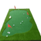 PGM ProGreen Golf Putting Mat Large Indoor Putting Green 100by300cm Training Mat 1