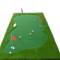 PGM ProGreen Golf Putting Mat Large Indoor Putting Green 100by300cm Training Mat 1