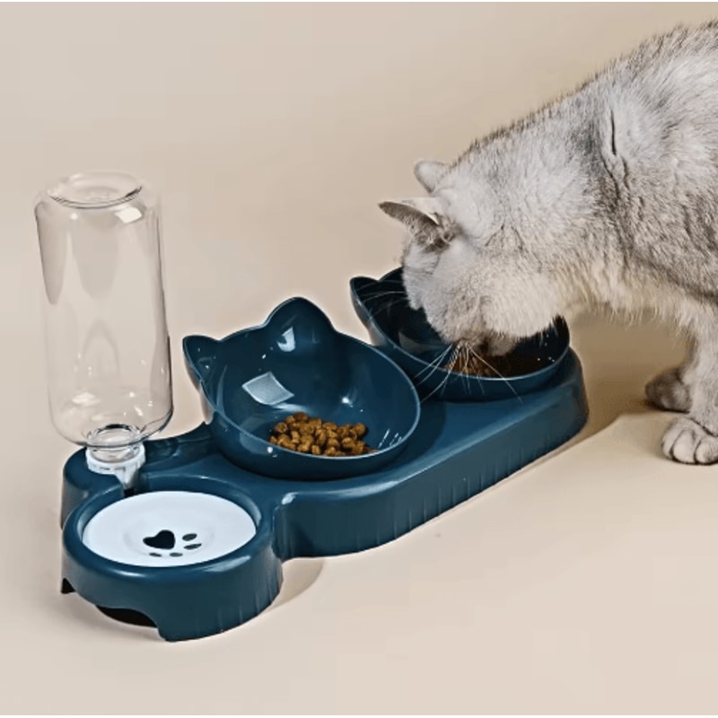 ErgoFeed 3 In 1 Pet Bowl Tilted Cat Bowl Set With Gravity Water Feeder 8
