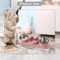 3in1 Triple Cat Bowl 15 Tilted Food Water Feeding Station 5