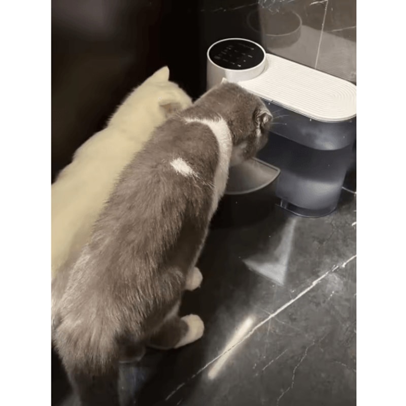 Automatic Cat Dog Water Fountain Rechargeable Running Water Dispenser 3