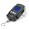 Digital Hanging Scale With Tape Measure 50kg Portable Luggage Fishing Scale 2