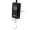 Mini Digital Hanging Scale 40kg Portable Luggage Fishing Hook Scale 4