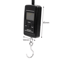 Mini Digital Hanging Scale 40kg Portable Luggage Fishing Hook Scale 4