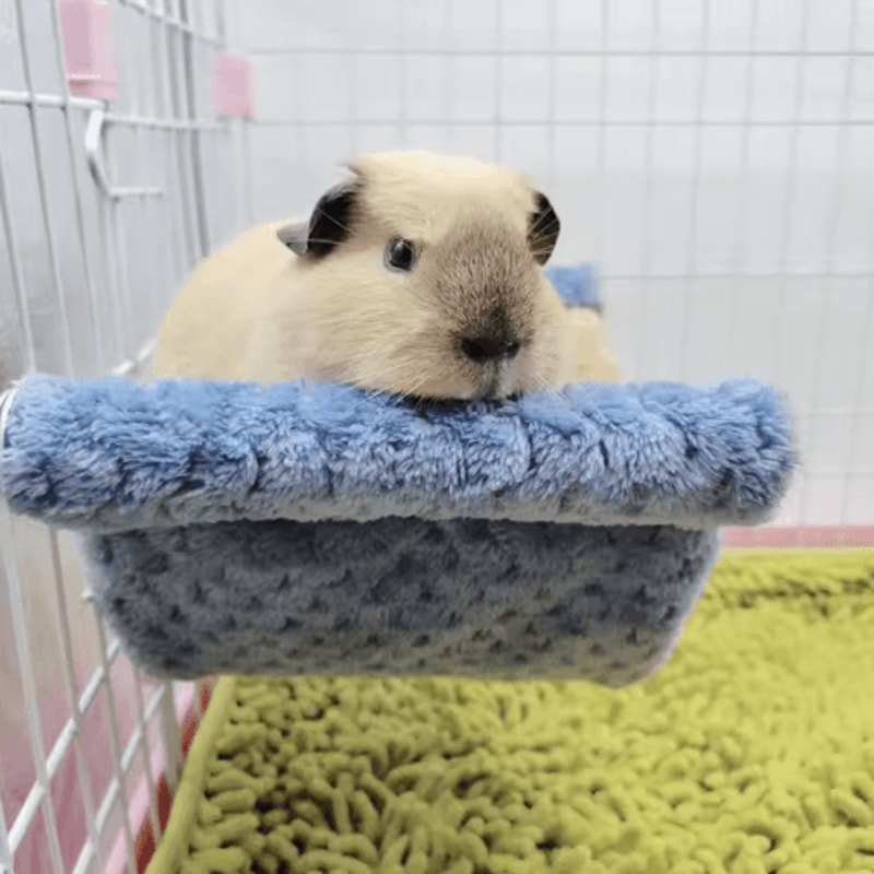 Plush Hamster Hammock Bed Warm Hanging Nest For Small Pets 7