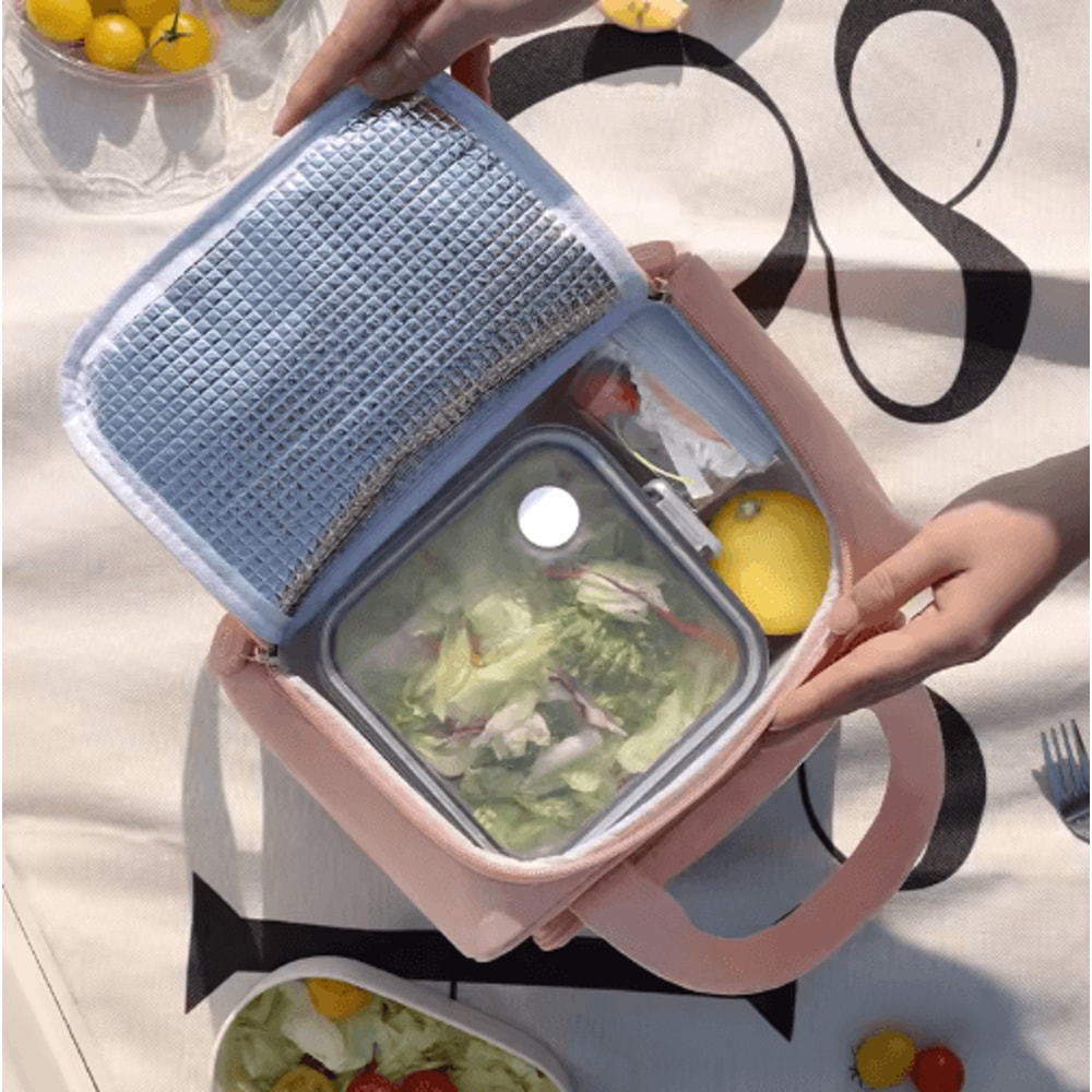 8L Cartoon Insulated Lunch Bag Large Capacity Portable Lunch Tote For School Travel 8