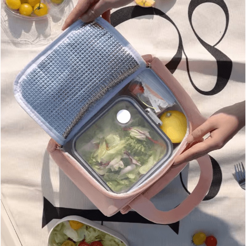 8L Cartoon Insulated Lunch Bag Large Capacity Portable Lunch Tote For School Travel 8