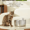 APETDOLA 4L Smart Pet Water Fountain Sensor Activated Cat Water Fountain For Clean Fresh Hydration 3
