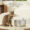 APETDOLA 4L Smart Pet Water Fountain Sensor Activated Cat Water Fountain For Clean Fresh Hydration 3